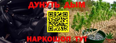 альфа пвп Волгодонск