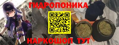 альфа пвп Волгодонск