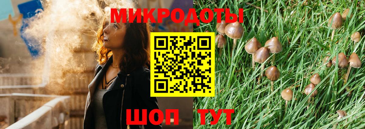 Галлюциногенные грибы Cubensis  Вход с VPN  Озёрск 