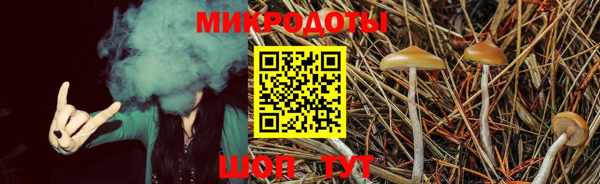 Галлюциногенные грибы мицелий Озёрск