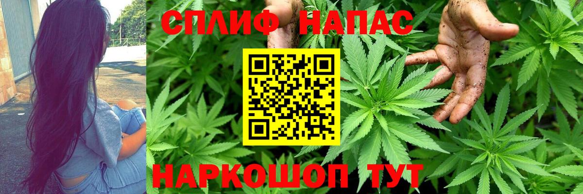 Конопля конопля  МАРИХУАНА тримм  Озёрск  Бошки марихуана Amnesia  Вход с VPN  Шишки марихуана конопля 